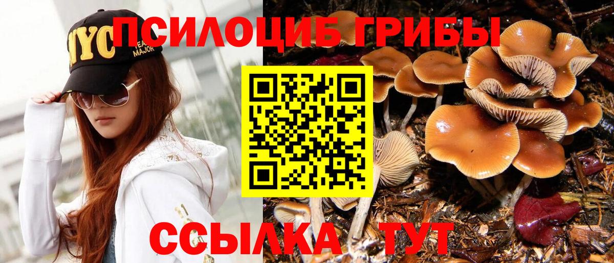 купить наркоту  Псилоцибиновые грибы Psilocybe  Вход с VPN  Новый Уренгой  Галлюциногенные грибы мицелий 