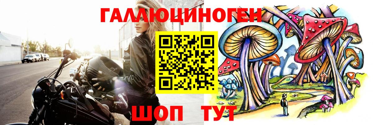Псилоцибиновые грибы GOLDEN TEACHER Новый Уренгой