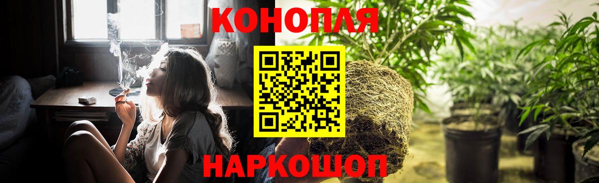 Бошки Шишки сатива  Вход с VPN  Новый Уренгой  Конопля SATIVA & INDICA 